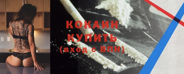 дживик Белокуриха