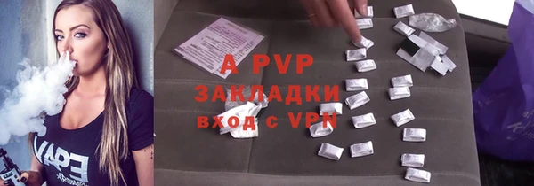 дживик Белокуриха