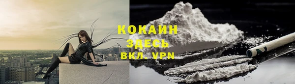дживик Белокуриха