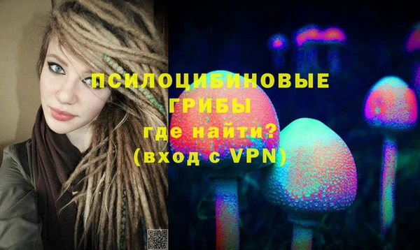 дживик Белокуриха