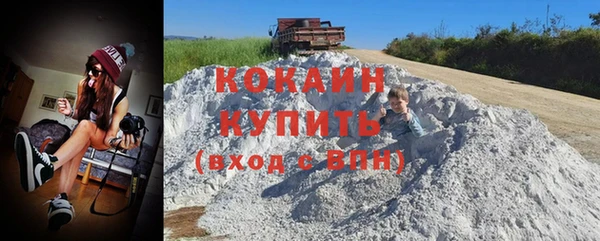 дживик Белокуриха