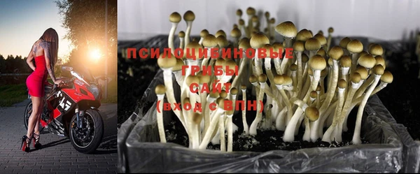 spice Белоозёрский