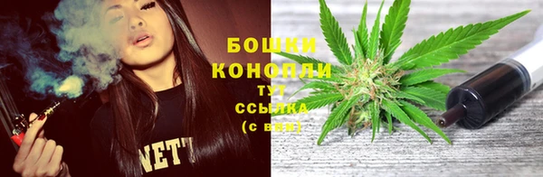 дживик Белокуриха
