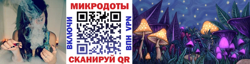Галлюциногенные грибы Cubensis  сколько стоит  Кудрово 